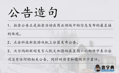 公告造句