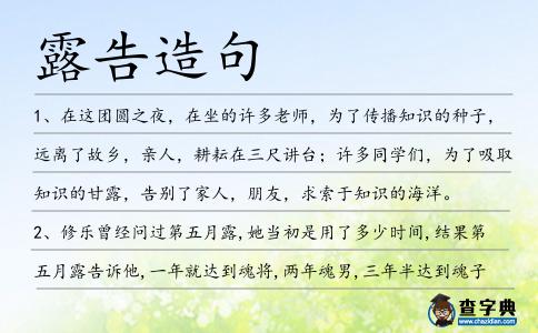 露告造句