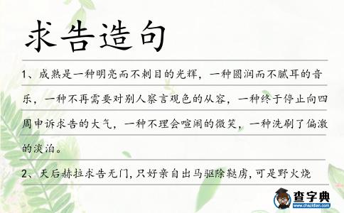 求告造句