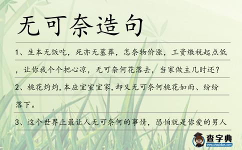 無可奈造句