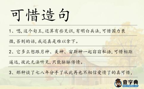 可惜造句