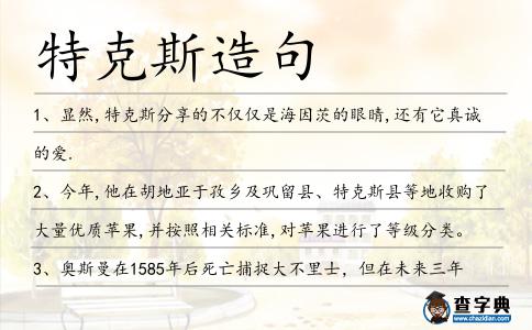 特克斯造句