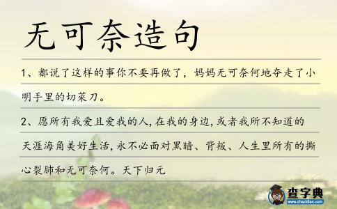 無可奈造句