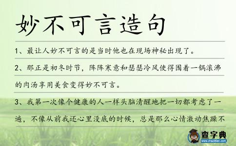 妙不可言造句