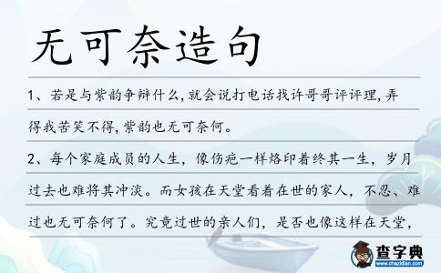 無可奈造句
