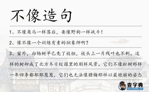 不像造句