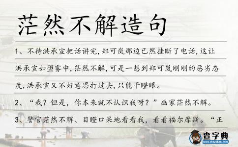 茫然不解造句