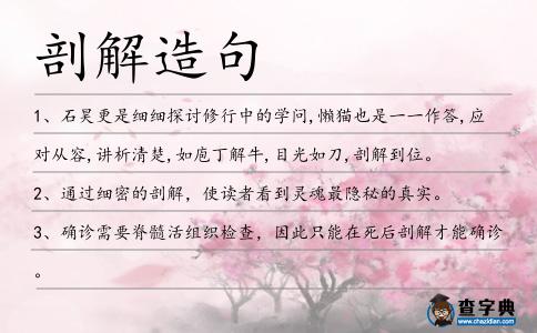 剖解造句