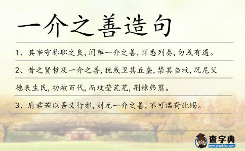 一介之善造句