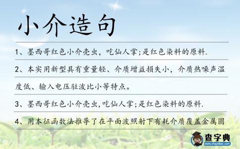 小介造句