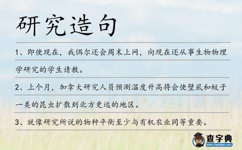 研究造句