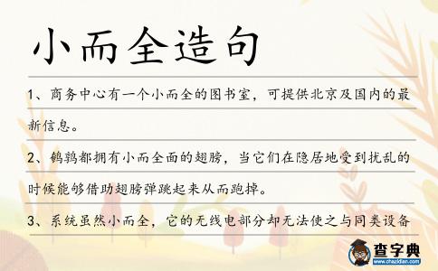 小而全造句