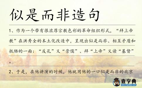 似是而非造句
