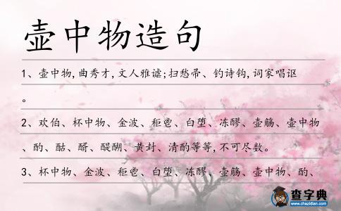 壺中物造句