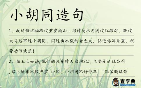 小胡同造句