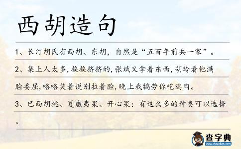 西胡造句