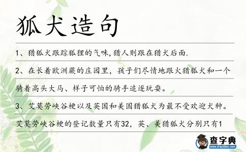 狐犬造句