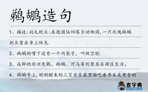 鵜鶘造句