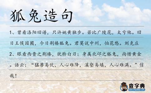 狐兔造句