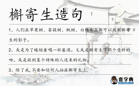 槲寄生造句