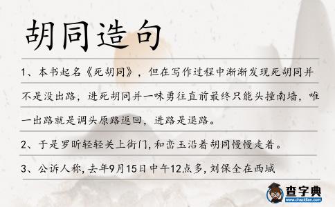 胡同造句
