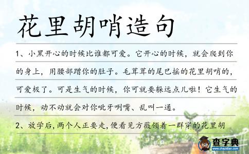 花里胡哨造句