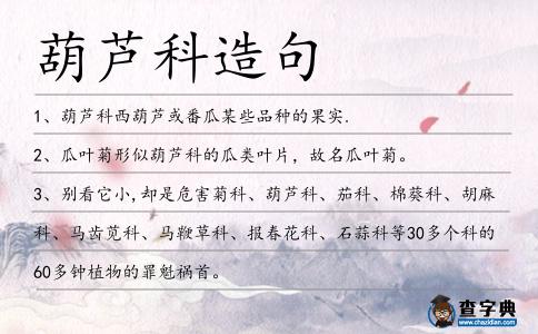 葫蘆科造句