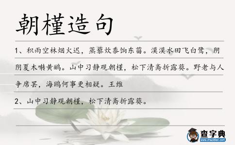 朝槿造句