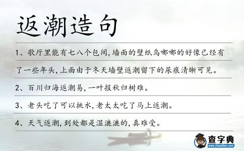 返潮造句