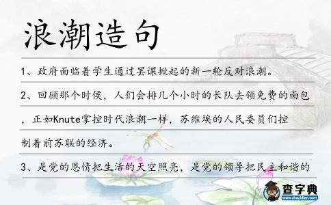 浪潮造句
