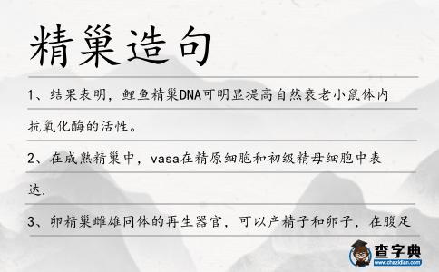 精巢造句