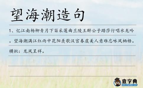 望海潮造句