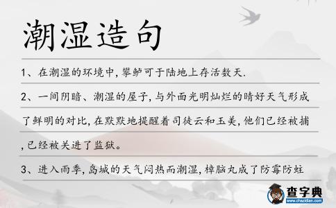 潮濕造句