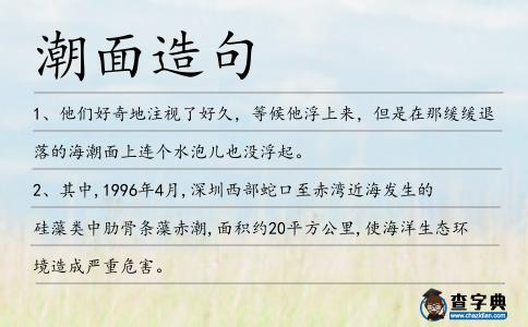 潮面造句