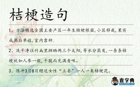 桔梗造句