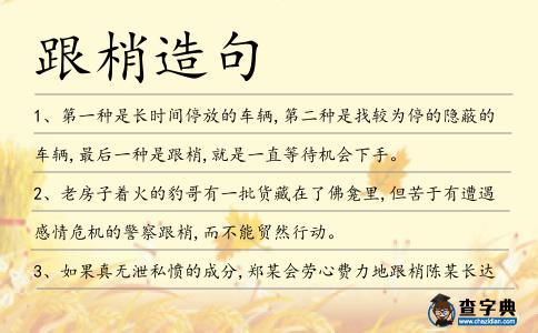 跟梢造句