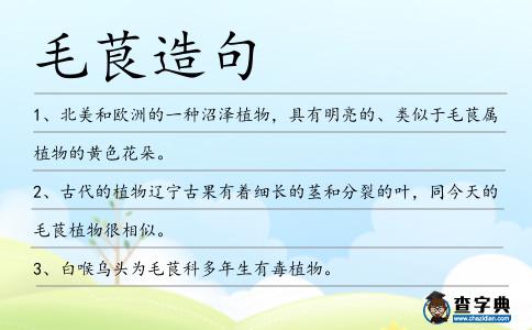 毛茛造句