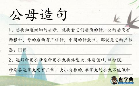 公母造句