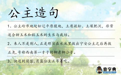 公主造句