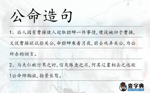 公命造句