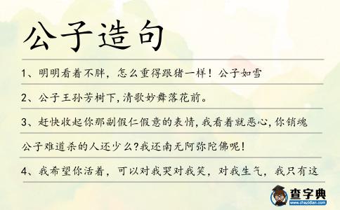 公子造句