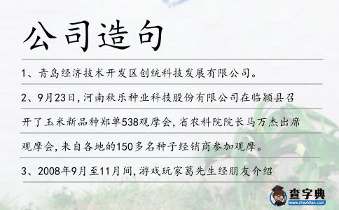 公司造句