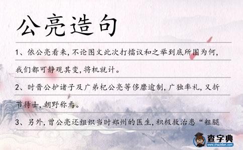 公亮造句