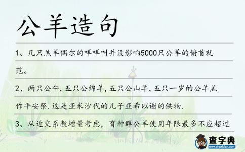 公羊造句