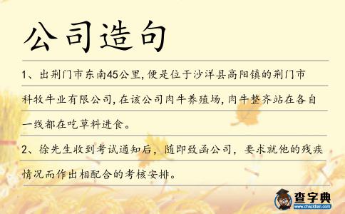 公司造句