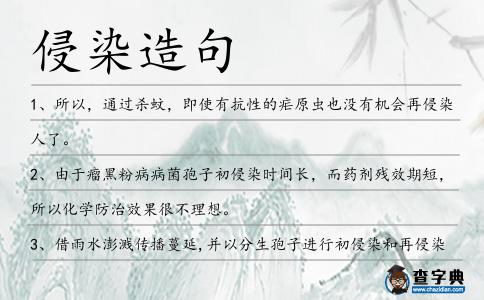 侵染造句