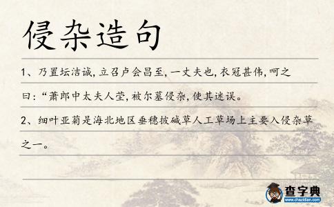 侵雜造句