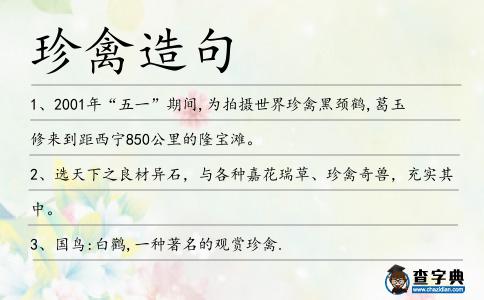 珍禽造句