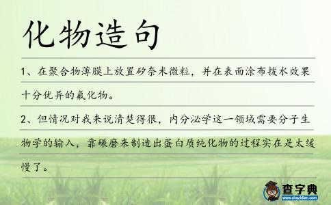 化物造句