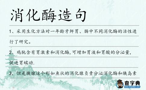消化酶造句